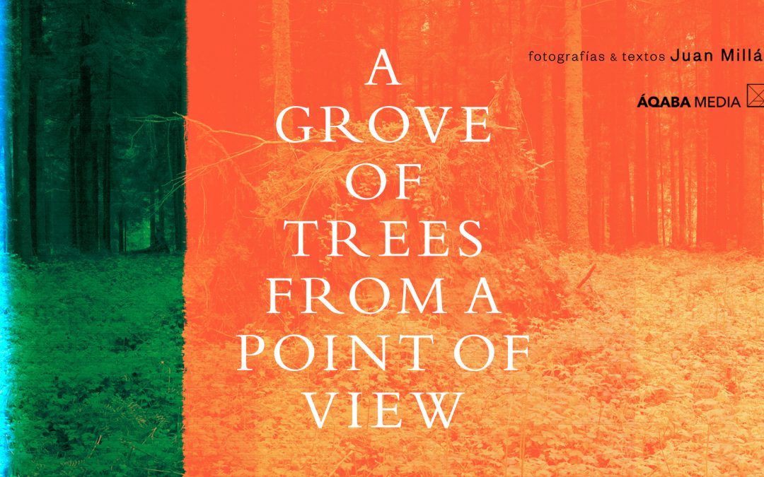 A GROVE OF TREES FROM A POINT OF VIEW – Juan Millás