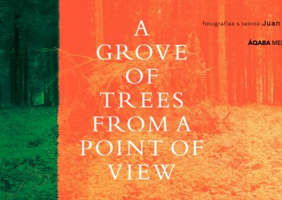 A GROVE OF TREES FROM A POINT OF VIEW – Juan Millás