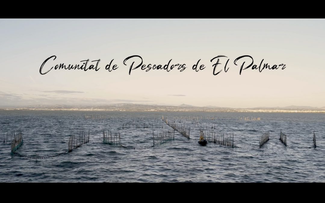 COMUNITAT DE PESCADORS DE EL PALMAR